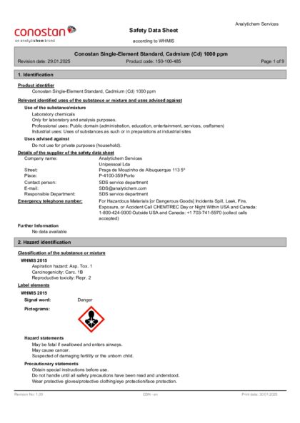 Primeira página: Ficha de segurança