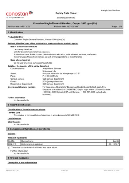 Primeira página: Ficha de segurança